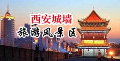 美女激情爽片在线观看中国陕西-西安城墙旅游风景区